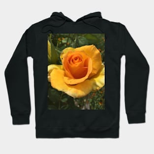 Yellow rose Hoodie